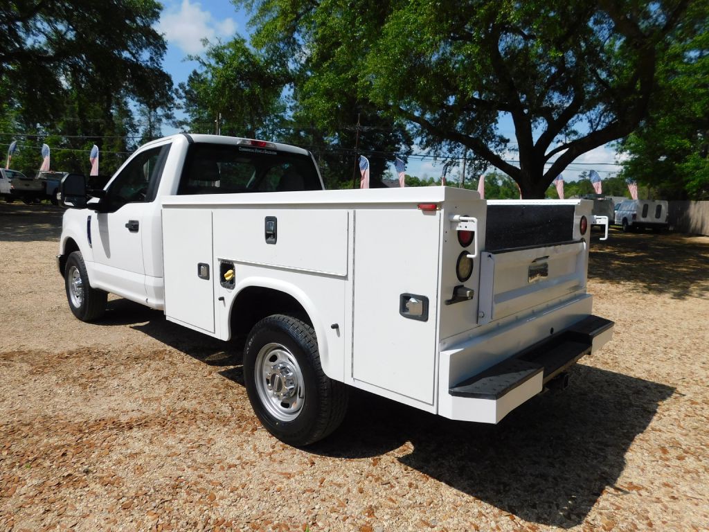 2017 Ford F-250 Image 3
