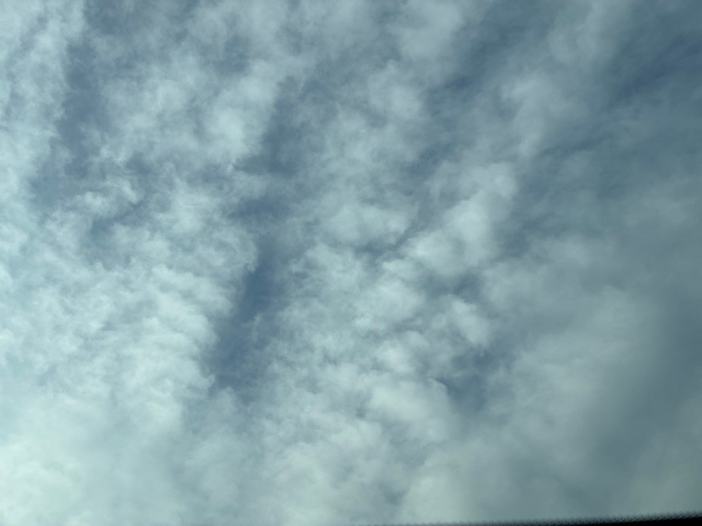 2010 Honda Crosstour Image 16