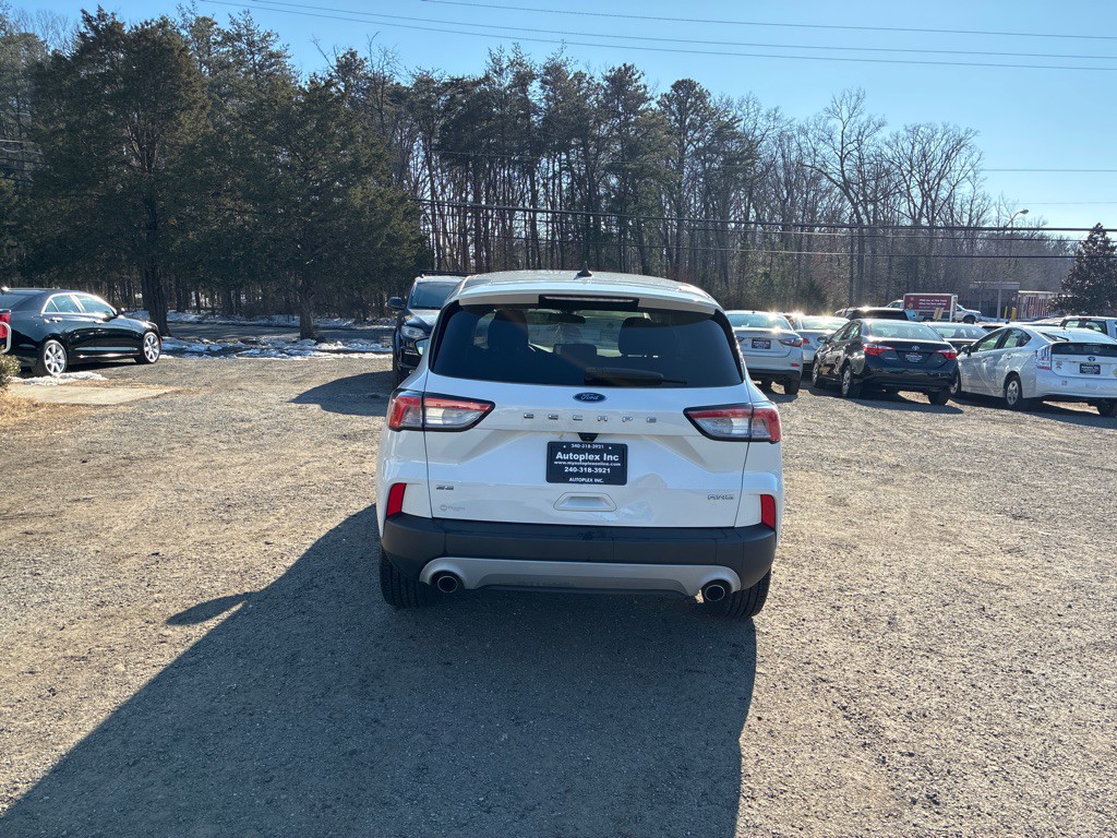 2020 Ford Escape Image 7