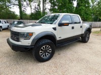Image for 2013 Ford F-150 Svt Raptor ID: 6693826