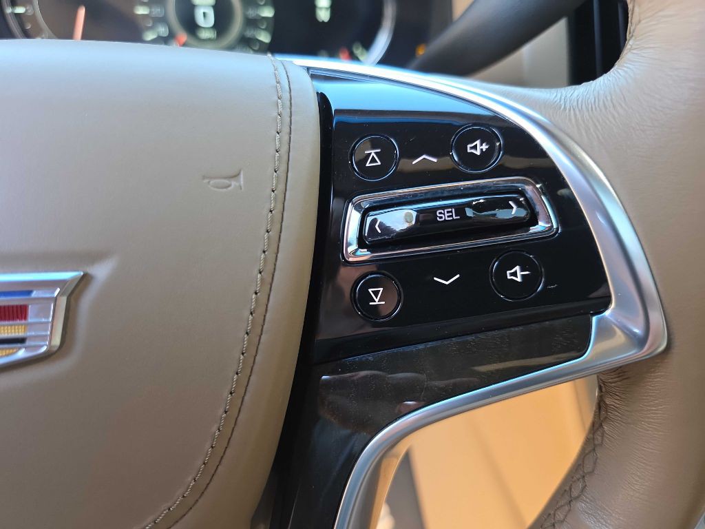 2019 Cadillac Escalade Image 17