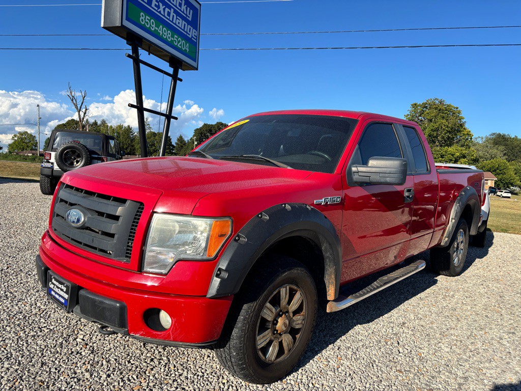 2010 Ford F-150 Image 3