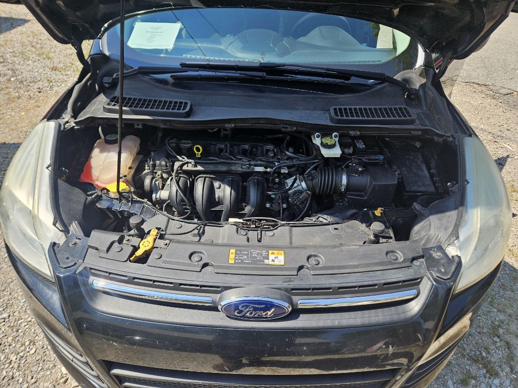 2013 Ford Escape Image 2