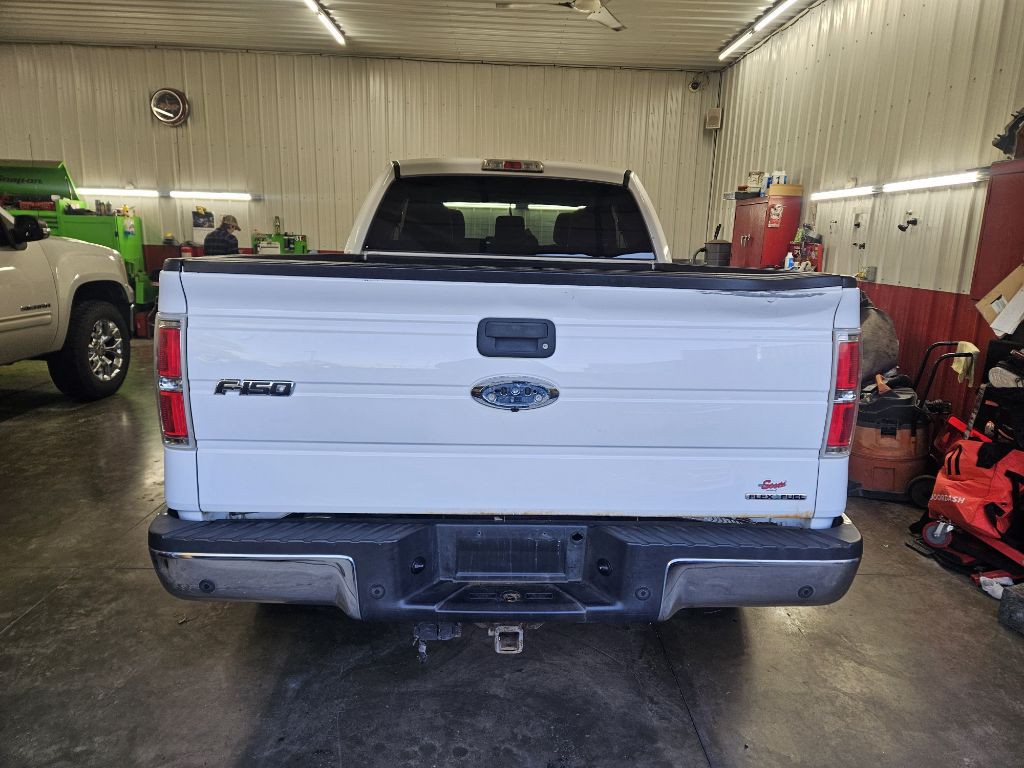 2013 Ford F-150 Image 2