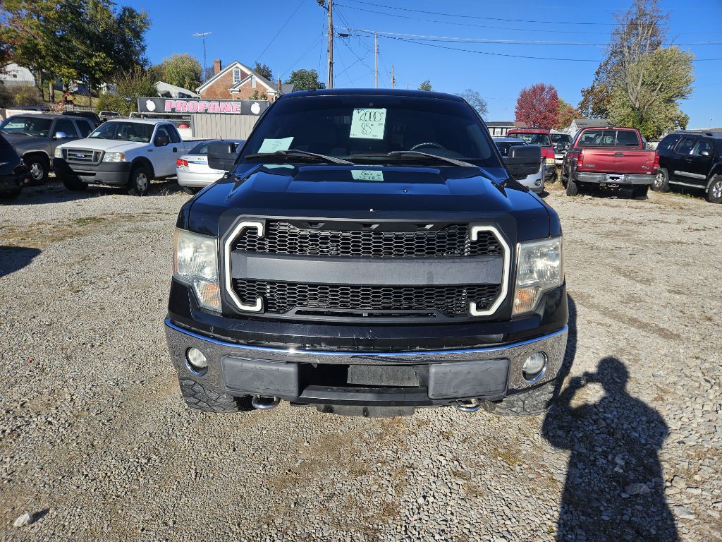 2011 Ford F-150 Image 2