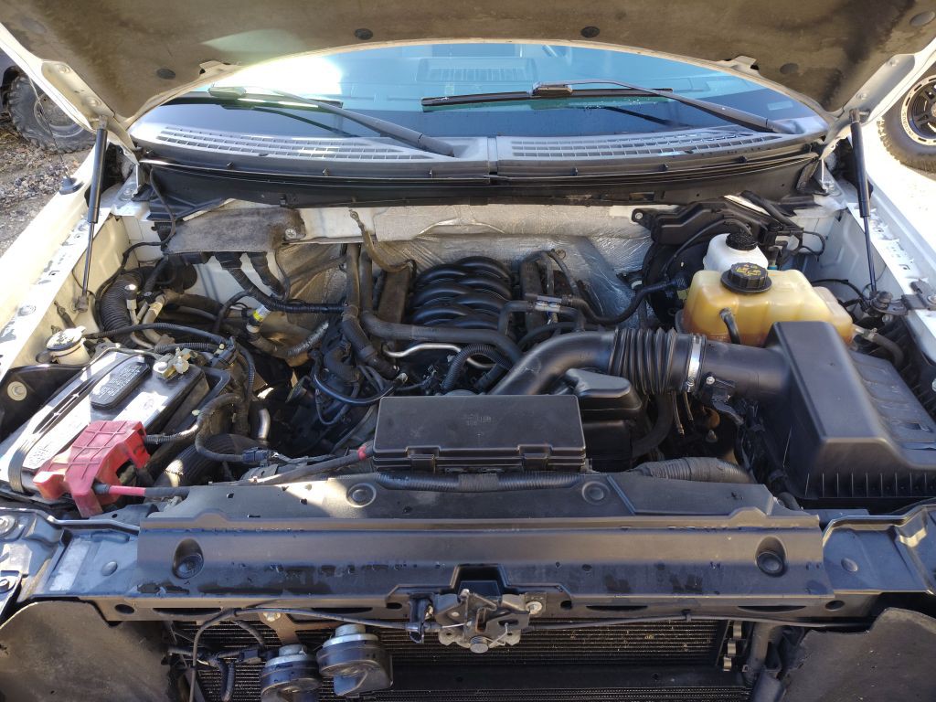 2011 Ford F-150 Image 9