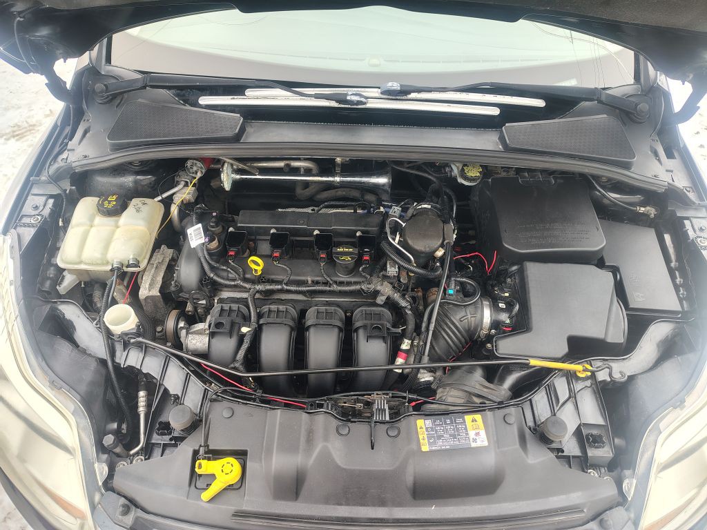 2014 Ford Focus Image 9