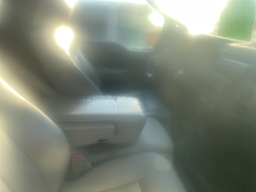 2010 Ford F-150 Image 4