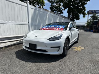 Image for 2020 Tesla Model 3 Stand Range ID: 6658818