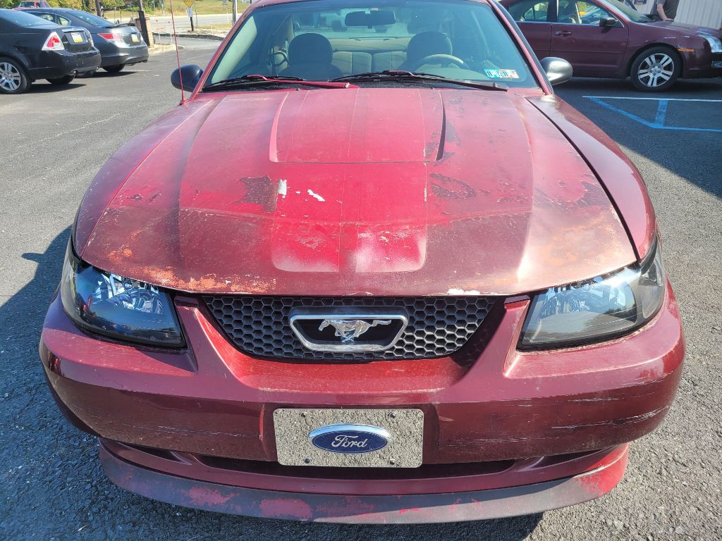 2004 Ford Mustang Image 8