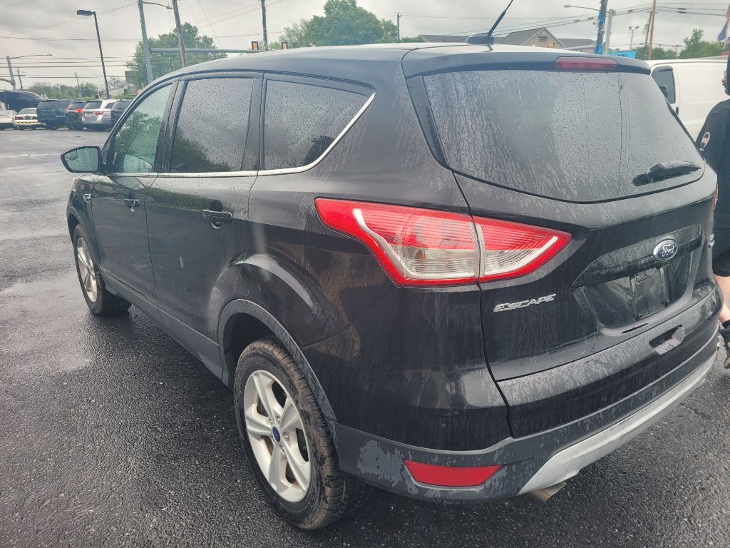 2014 Ford Escape Image 5