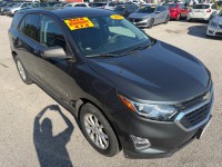 Image for 2019 Chevrolet Equinox LS ID: 7551994