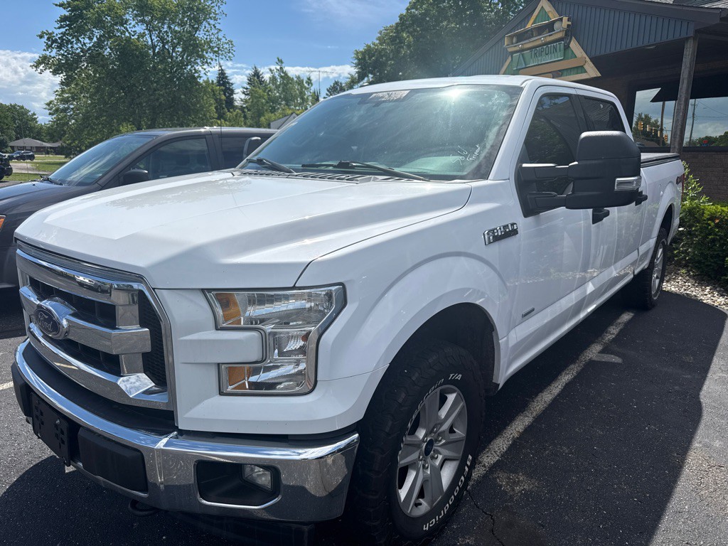 2017 Ford F-150 Image 3