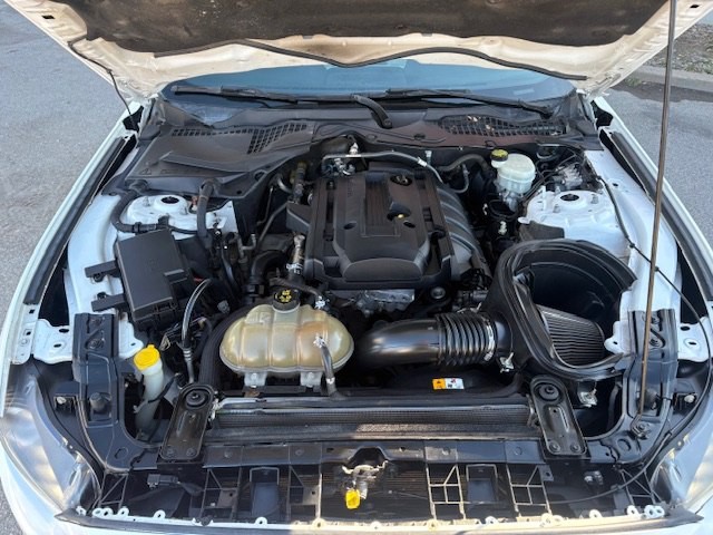 2016 Ford Mustang Image 29