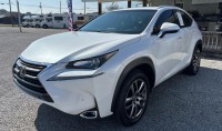 Image for 2016 Lexus NX 200t  ID: 7173561