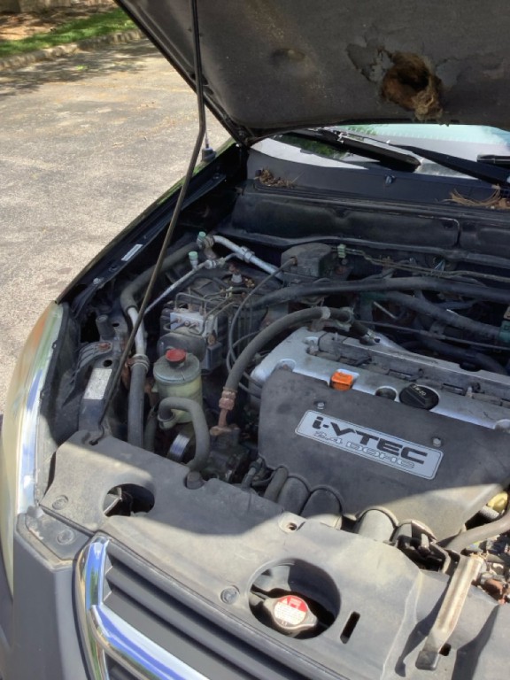 2004 Honda CR-V Image 14