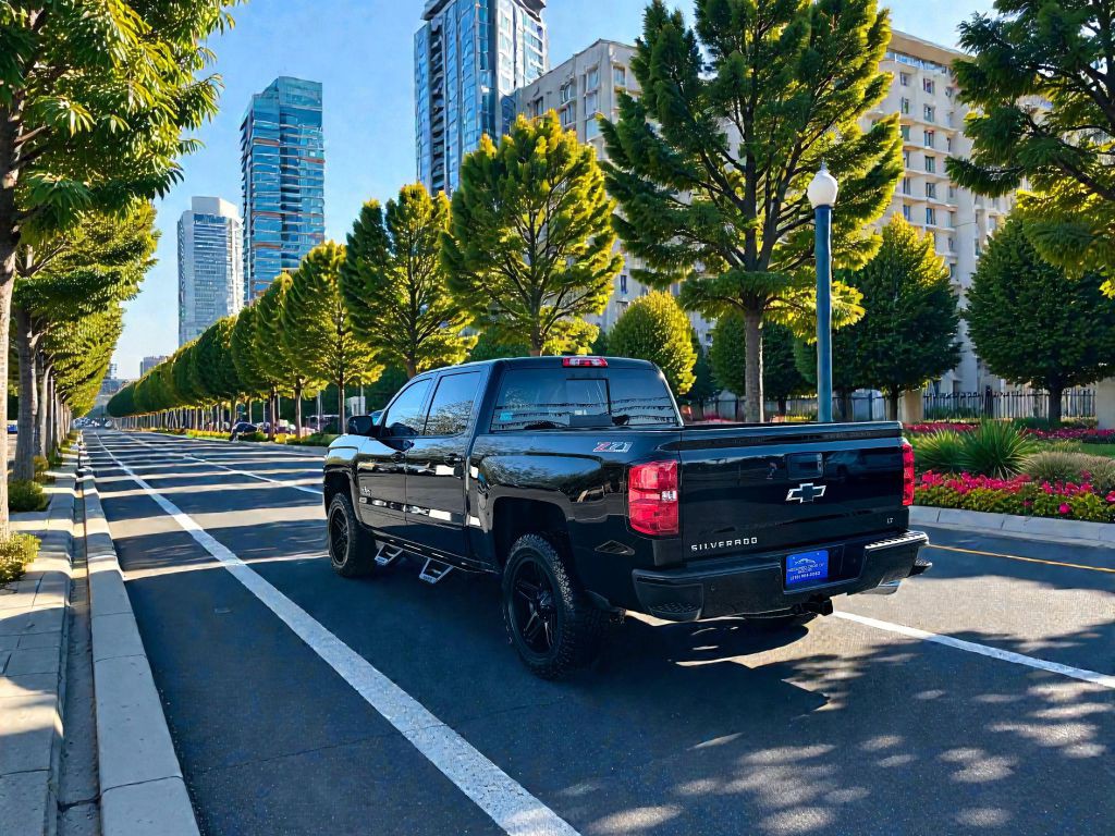 2017 Chevrolet Silverado 1500 Image 5