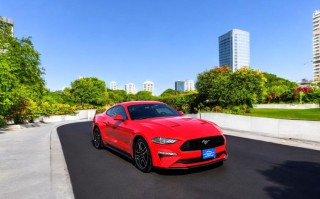 Image for 2019 Ford Mustang Ecoboost ID: 7056037