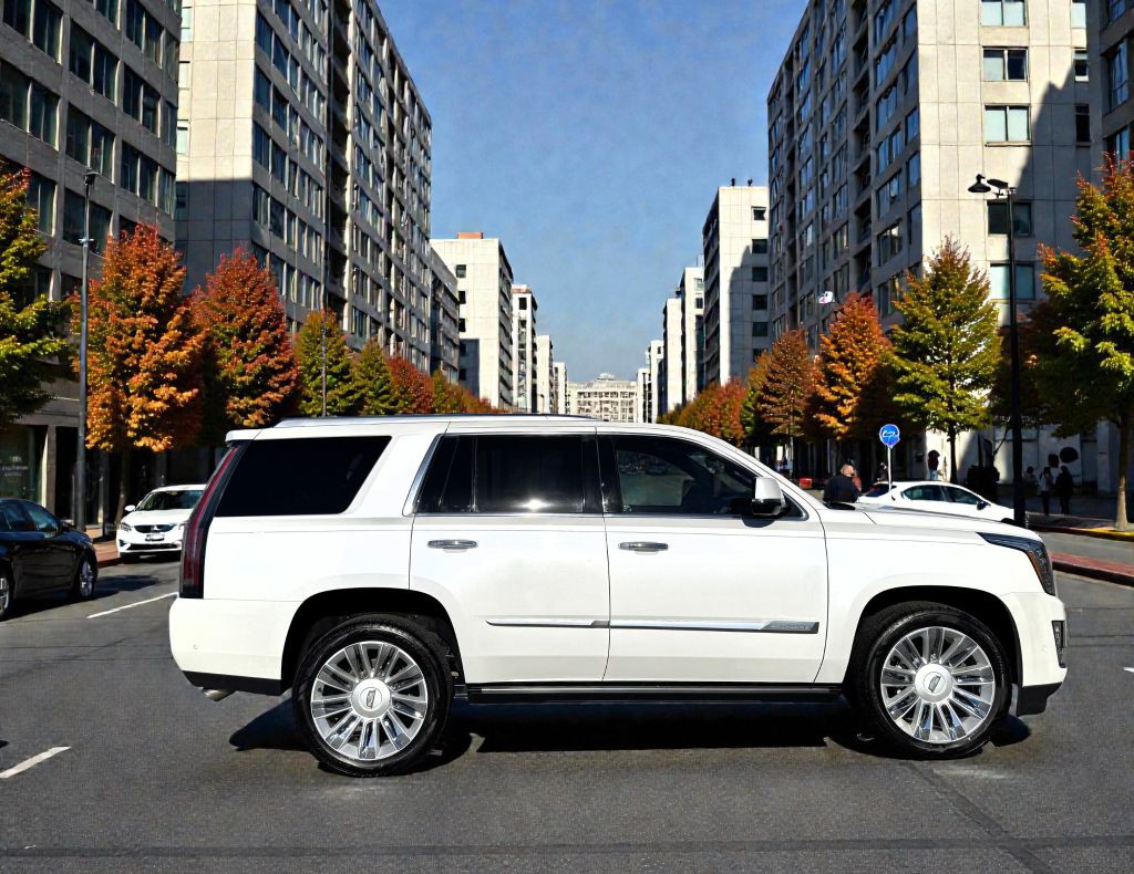 2017 Cadillac Escalade Image 2