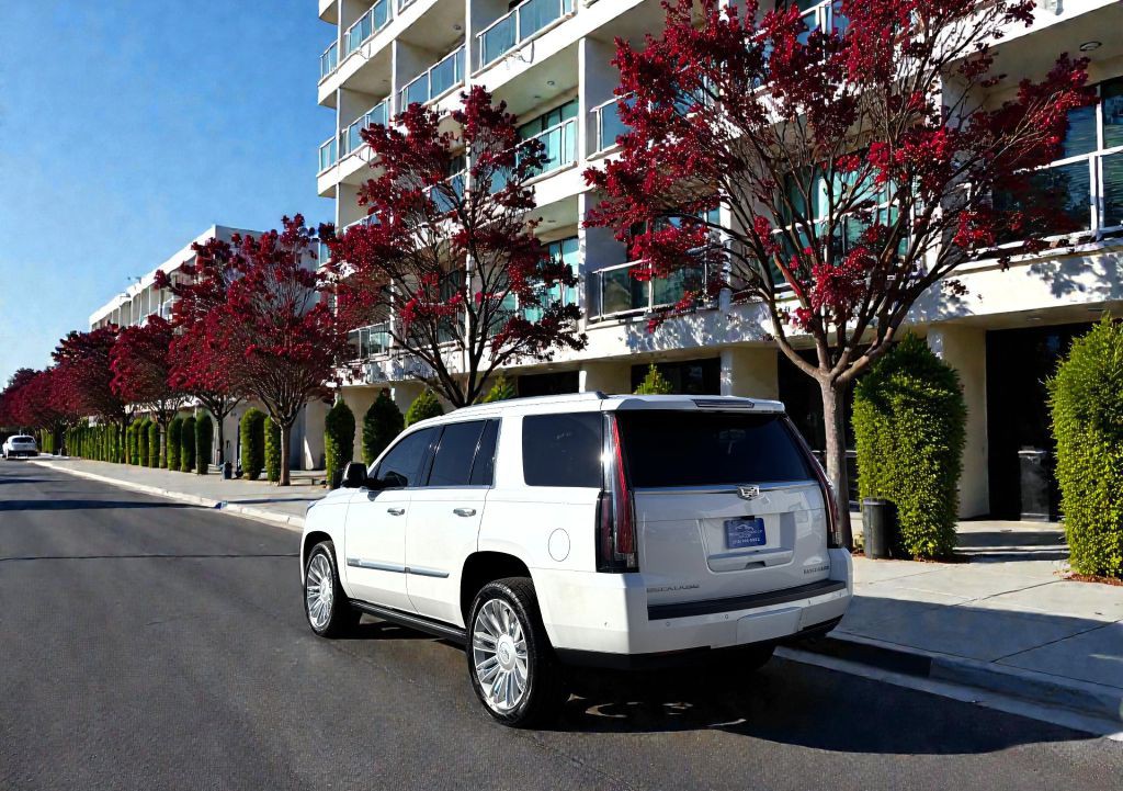 2017 Cadillac Escalade Image 5