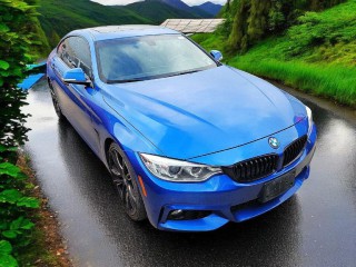 Image for 2017 BMW 4 Series 430i Gran Turismo ID: 7364769