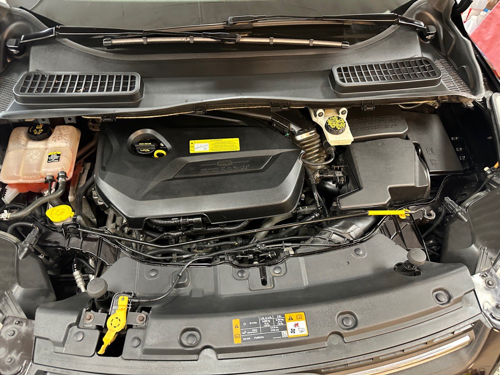 2013 Ford Escape Image 15
