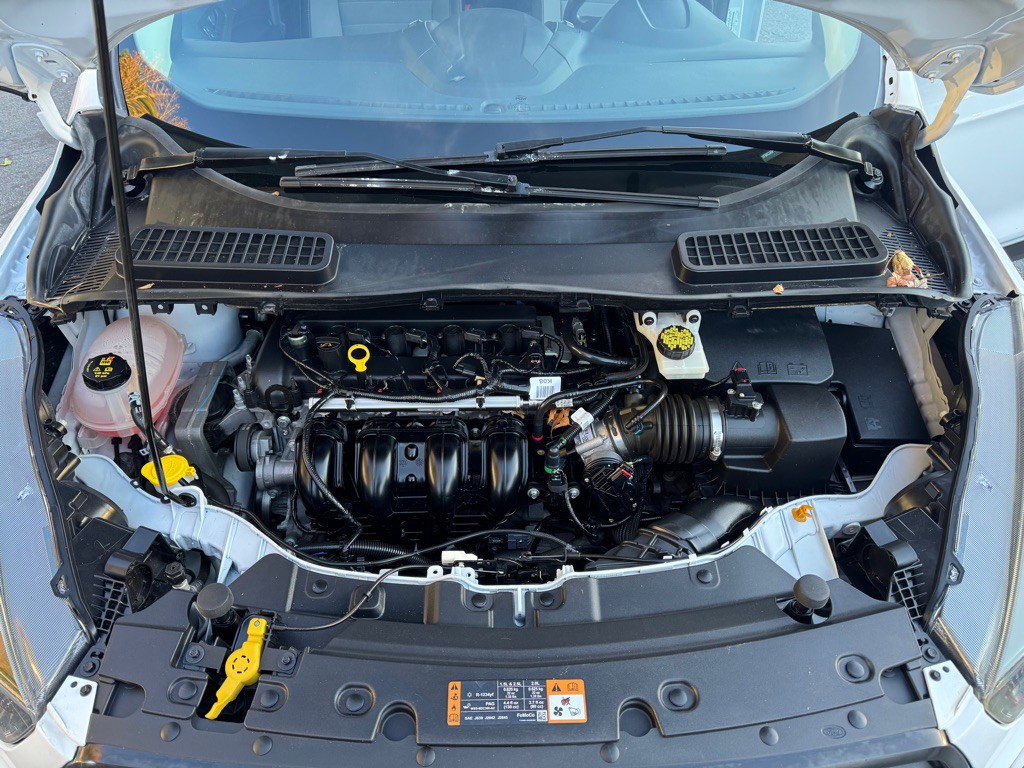 2019 Ford Escape Image 13