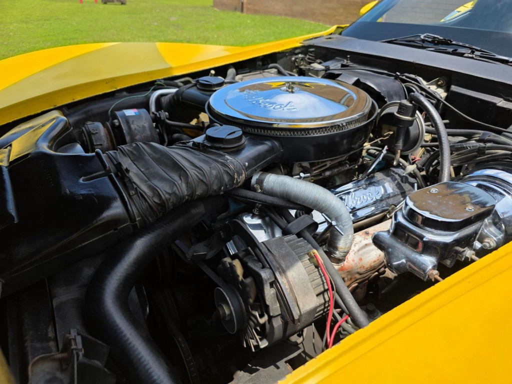 1979 Chevrolet Corvette Image 42