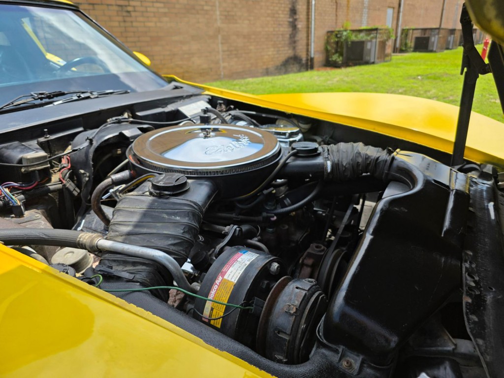 1979 Chevrolet Corvette Image 43