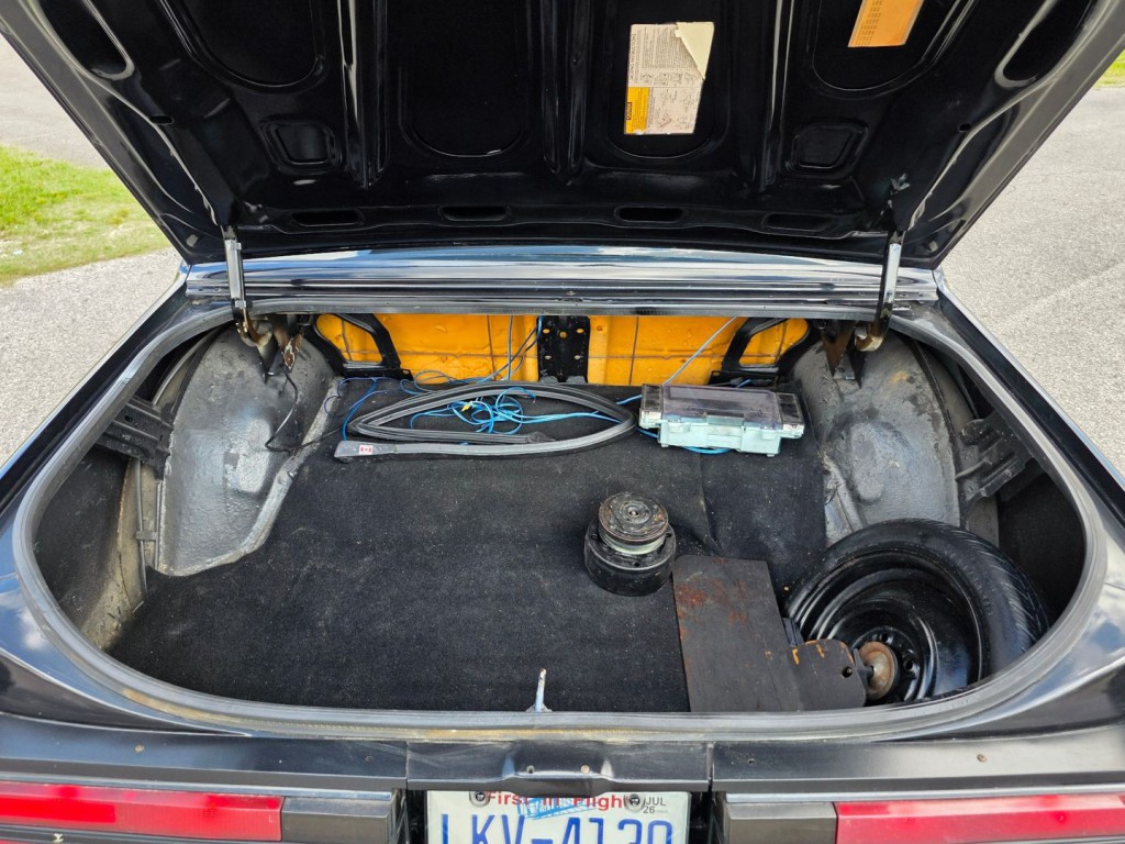 1985 Buick Regal Image 43