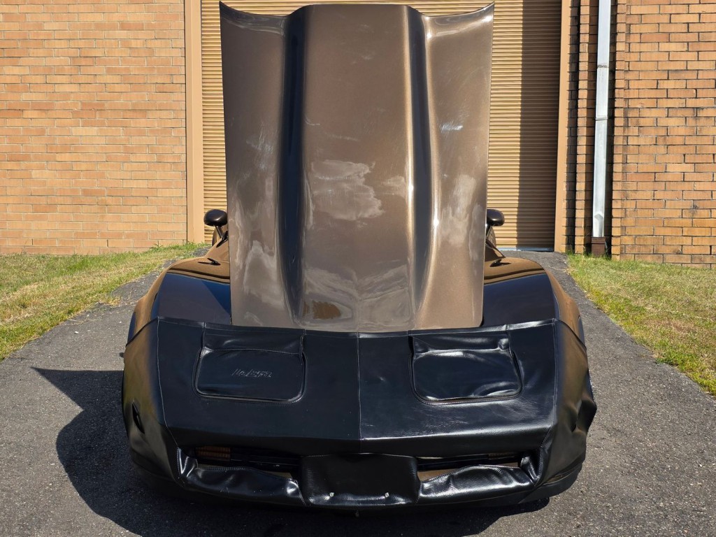 1980 Chevrolet Corvette Image 39