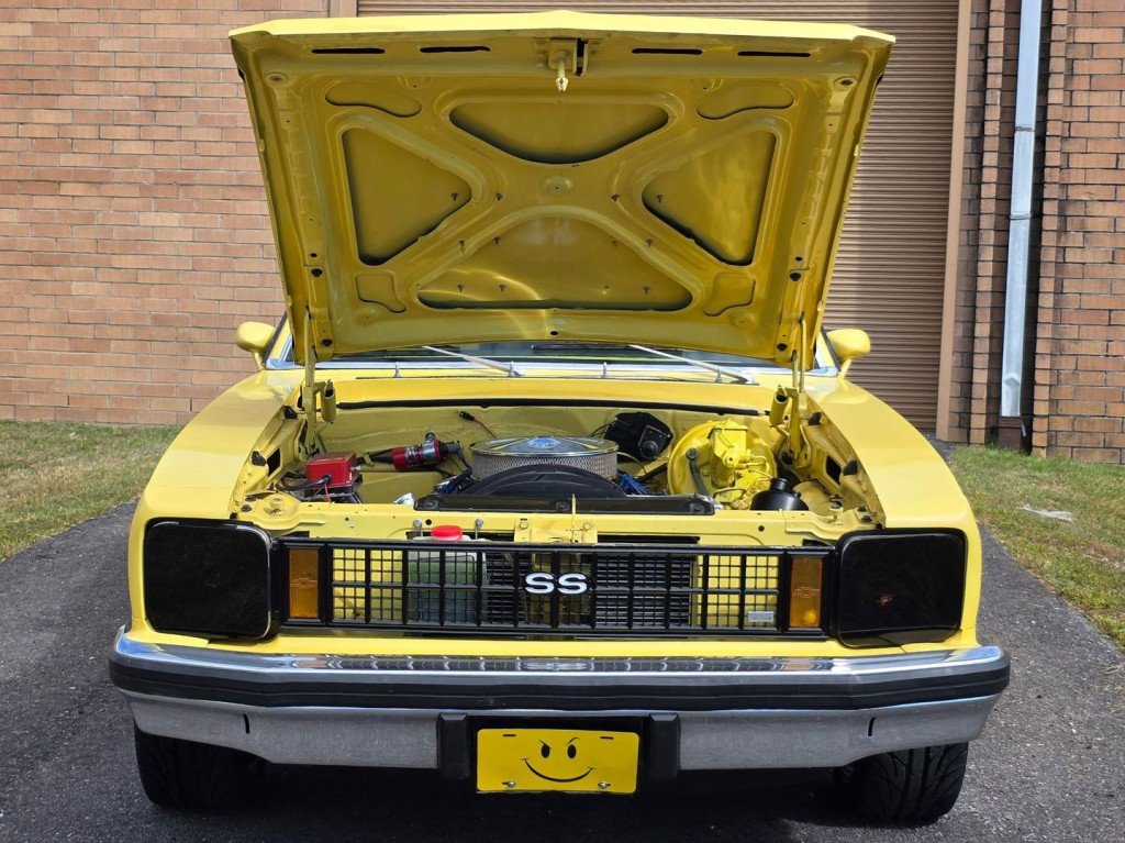 1976 Chevrolet Nova Image 39
