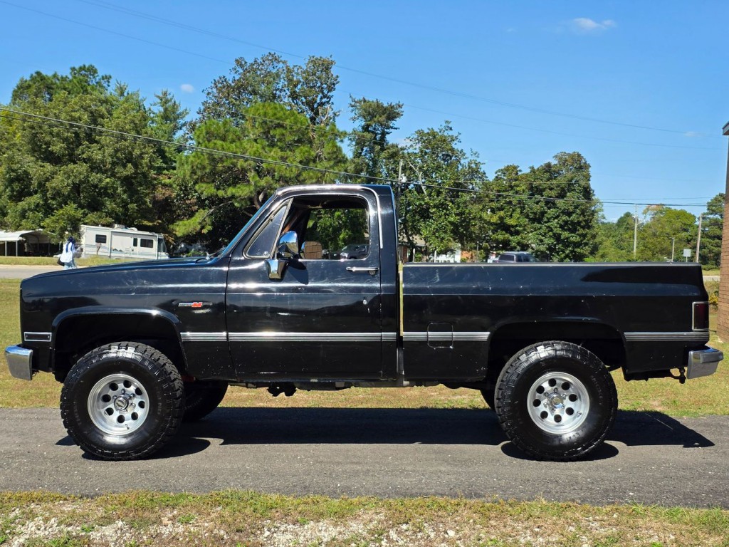 1981 Chevrolet C/K 10 Image 12