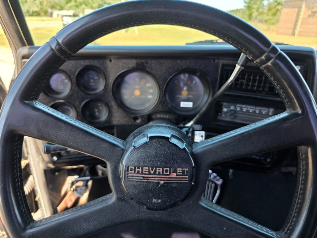 1981 Chevrolet C/K 10 Image 18