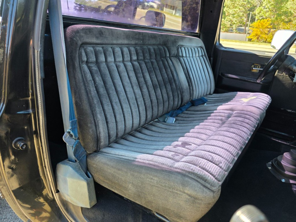 1981 Chevrolet C/K 10 Image 29