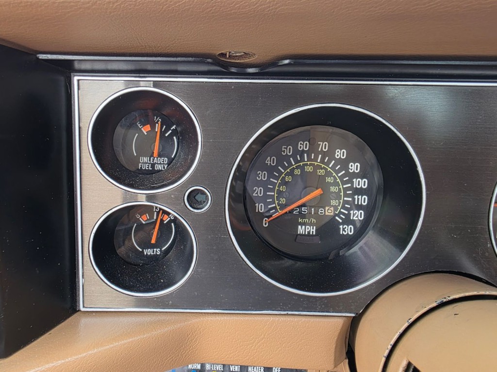 1979 Chevrolet Camaro Image 19