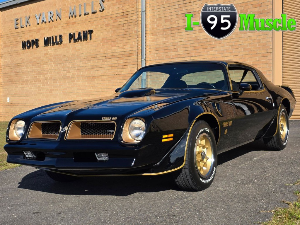 1976 Pontiac Firebird Image 1