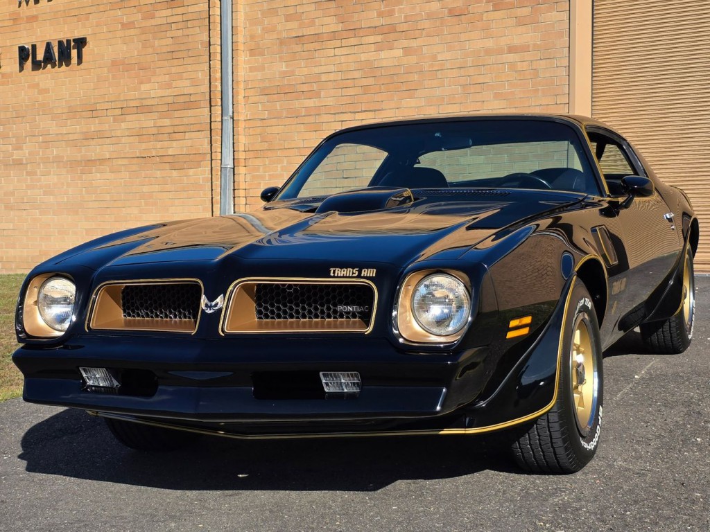 1976 Pontiac Firebird Image 2