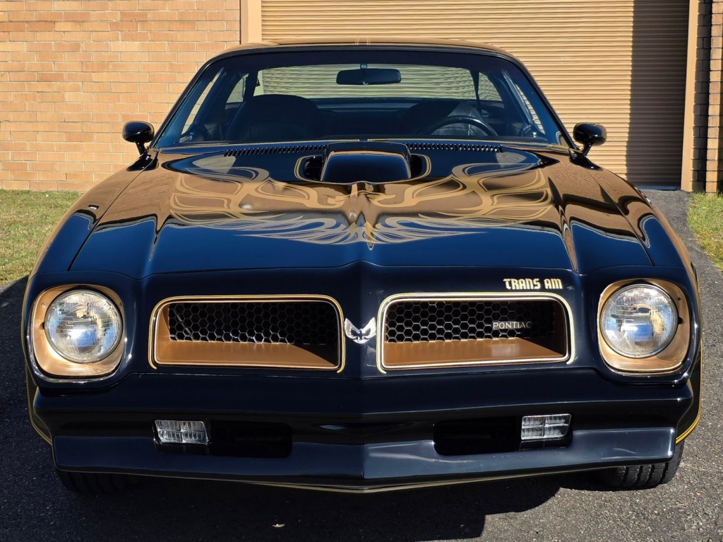 1976 Pontiac Firebird Image 3