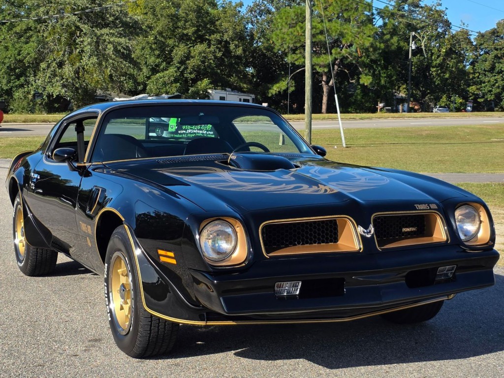 1976 Pontiac Firebird Image 4