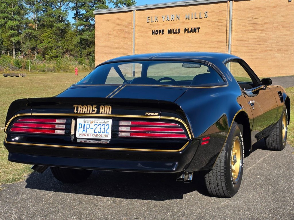 1976 Pontiac Firebird Image 8