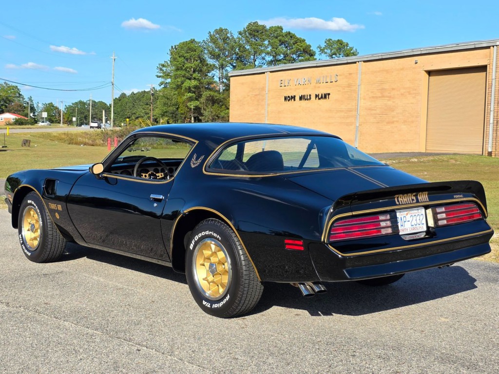 1976 Pontiac Firebird Image 11