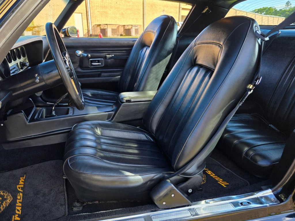 1976 Pontiac Firebird Image 13