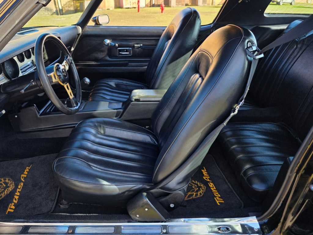 1976 Pontiac Firebird Image 14