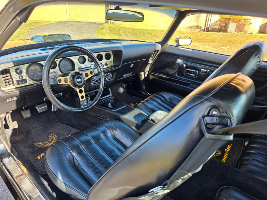 1976 Pontiac Firebird Image 15