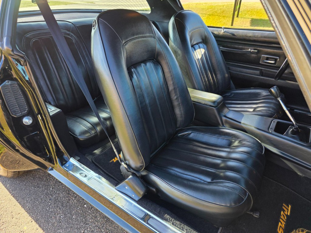 1976 Pontiac Firebird Image 28
