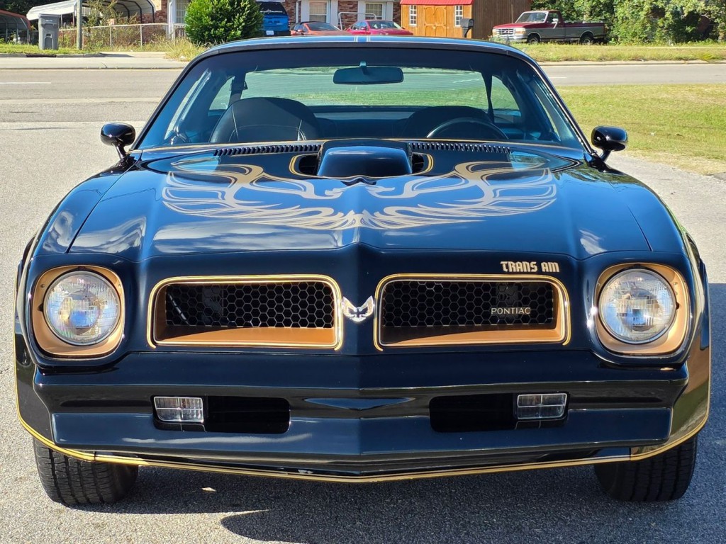 1976 Pontiac Firebird Image 38