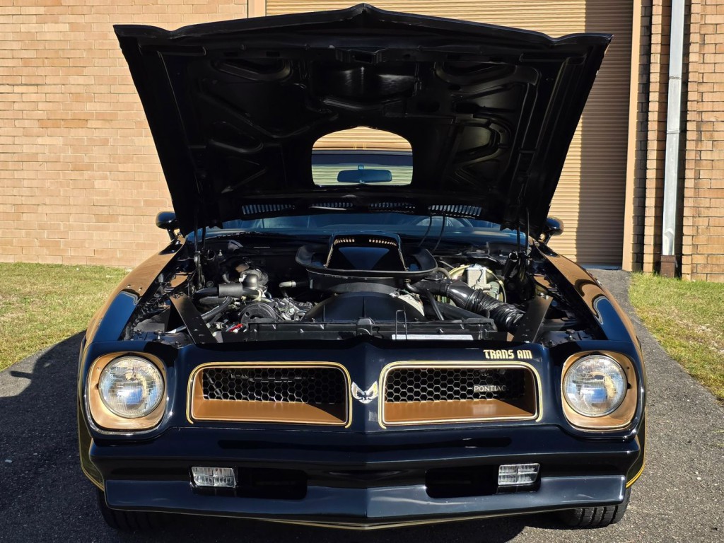 1976 Pontiac Firebird Image 39