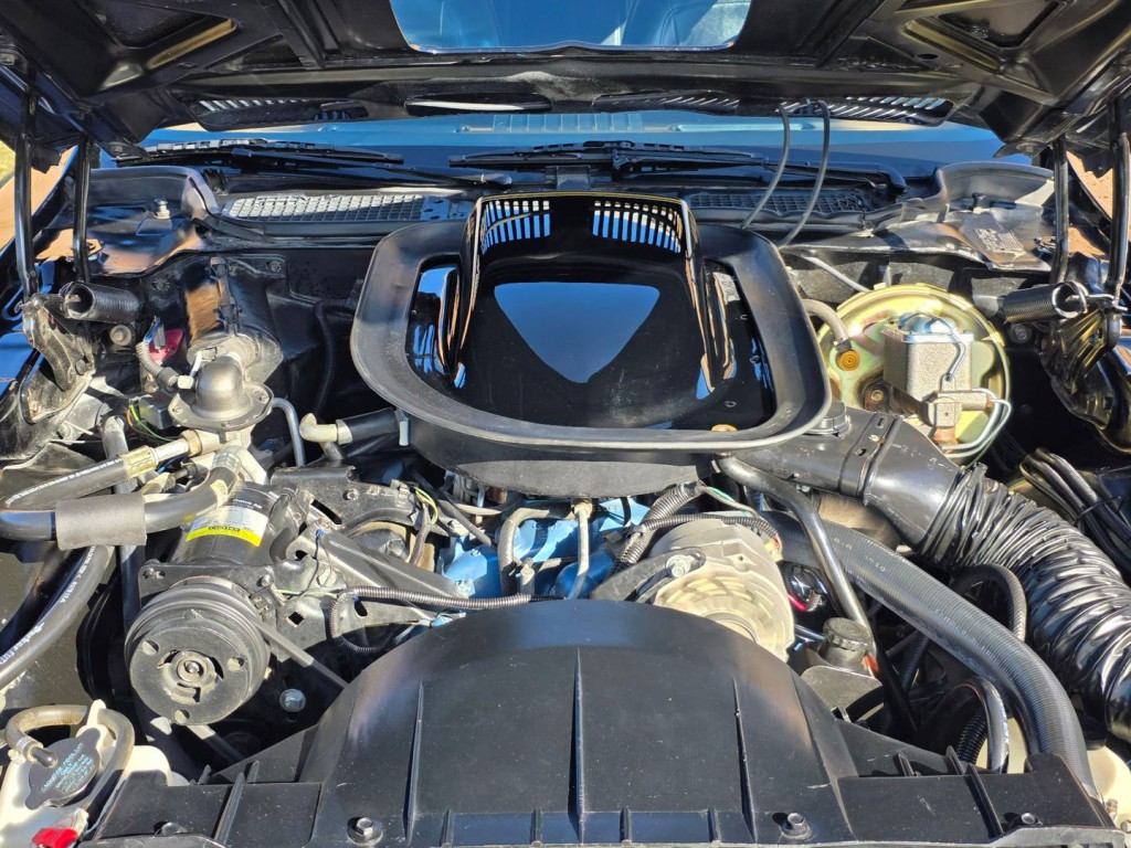 1976 Pontiac Firebird Image 41