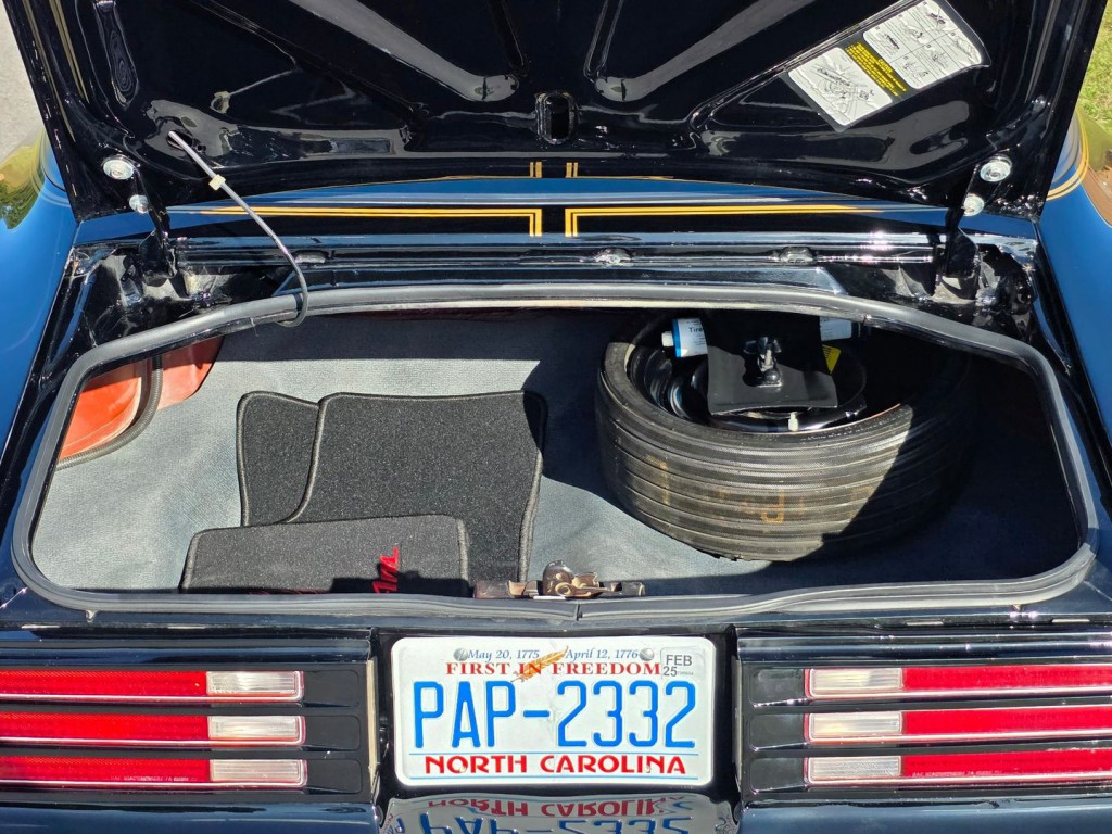1976 Pontiac Firebird Image 46